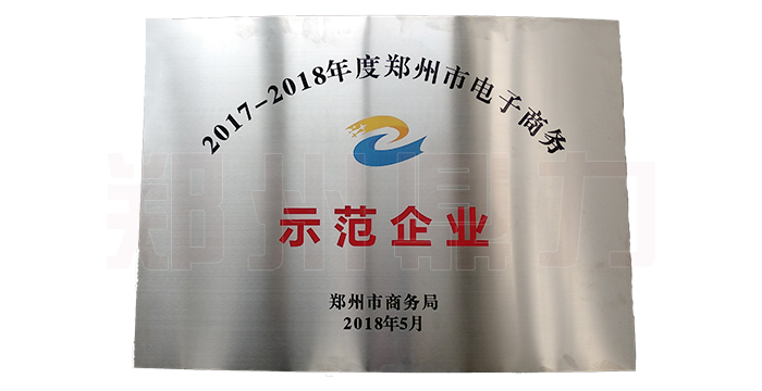 鄭州鼎力優(yōu)秀企業(yè)榮譽獎牌